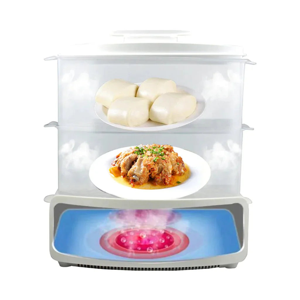 Electric Steamer and Defroster - Desertcart.store