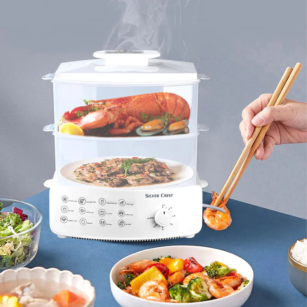 Electric Steamer and Defroster - Desertcart.store