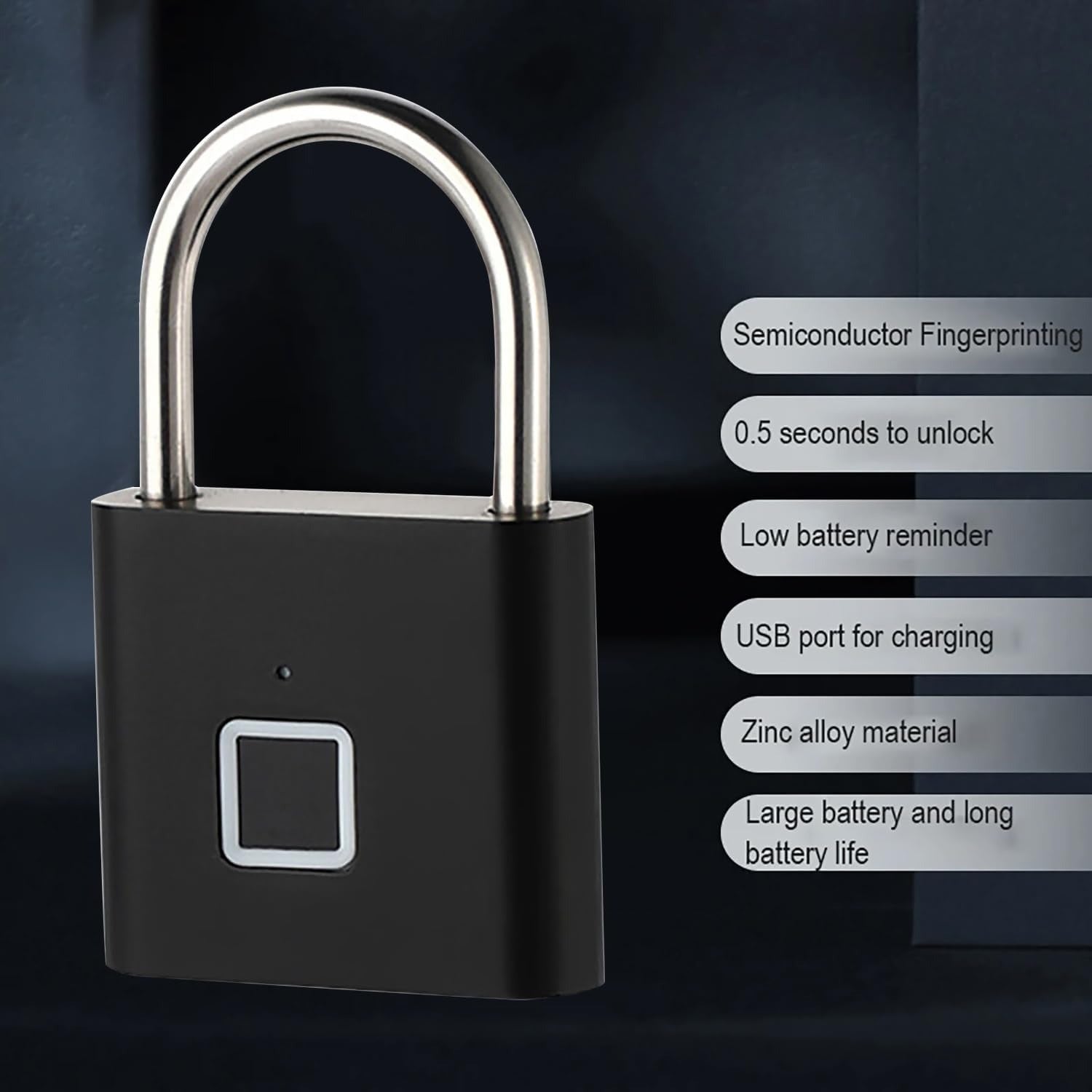 Fingerprint Padlock - Desertcart.store