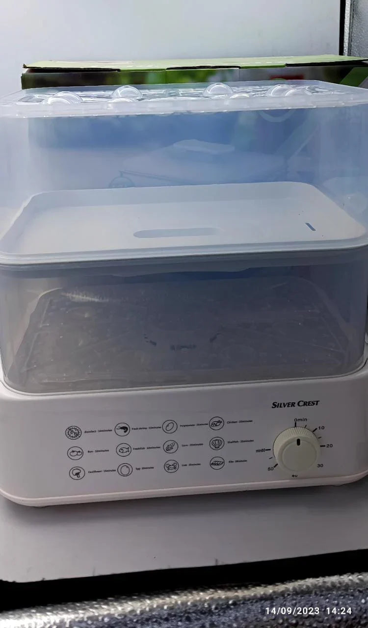 Electric Steamer and Defroster - Desertcart.store